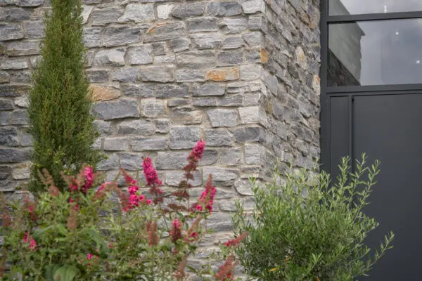 Entree woning met Rocks Blauw en beplanting