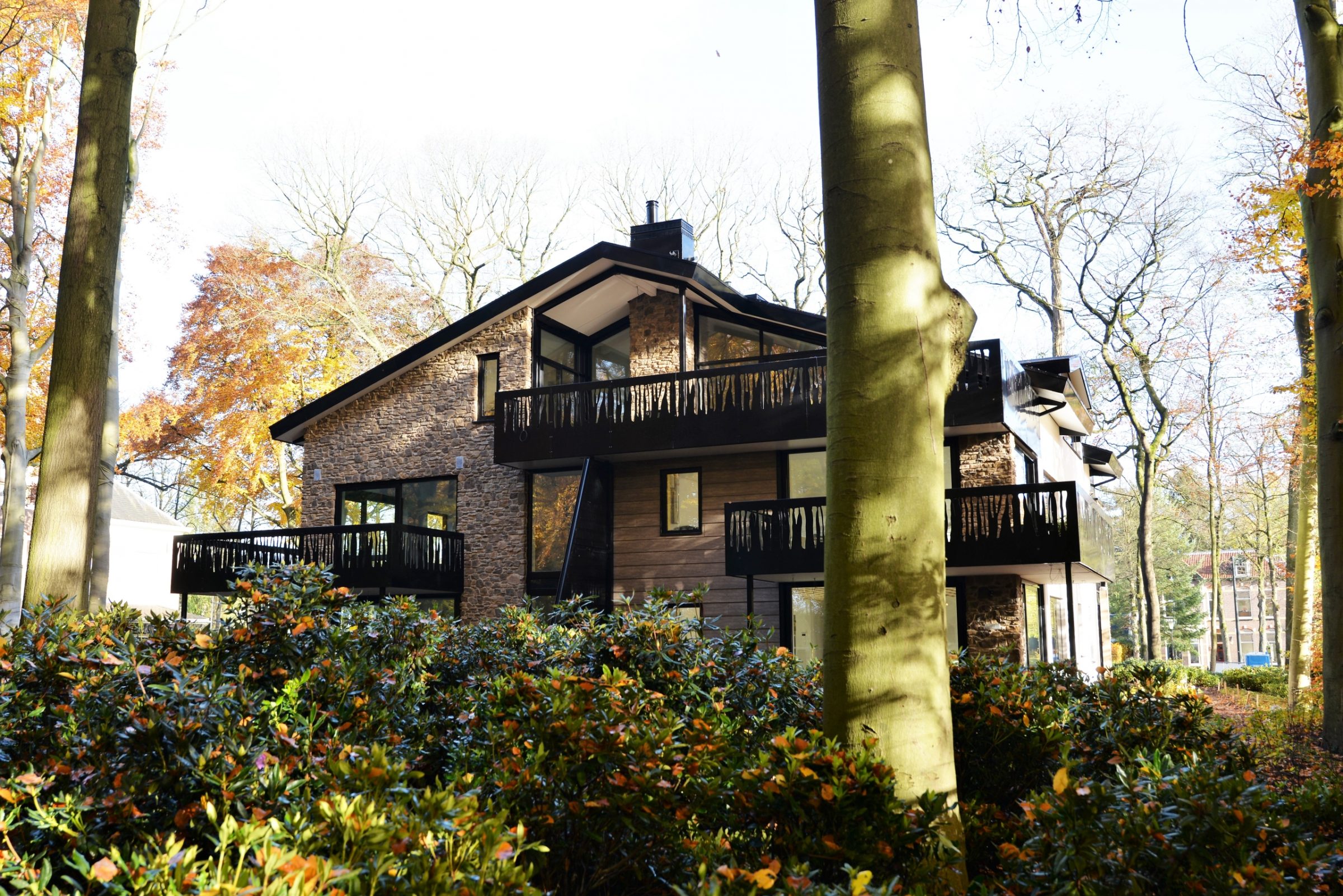 Chalet in Nederland met Steenstrips.