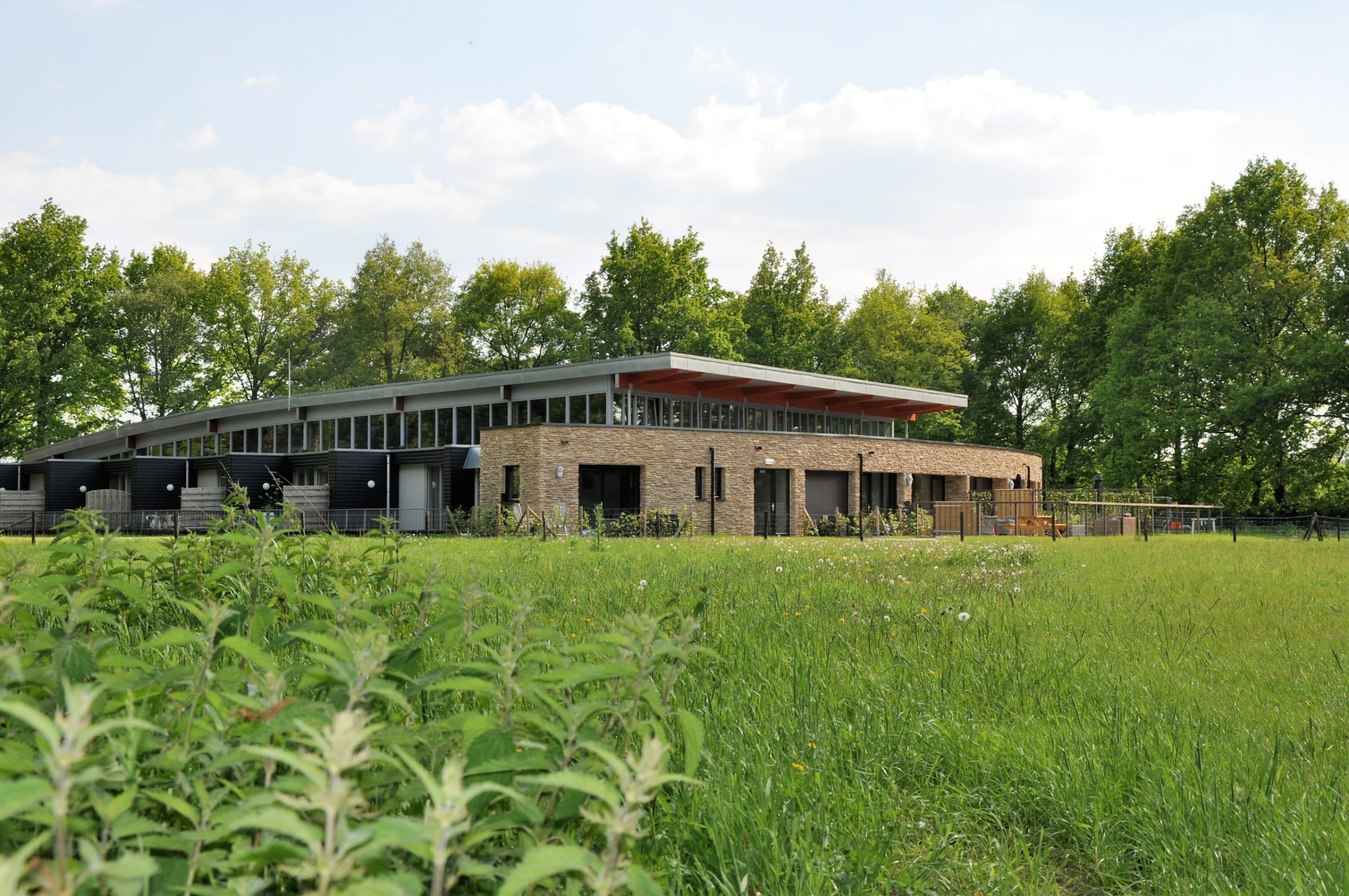 De Blumone Steenstrips nemen een prominente positie in