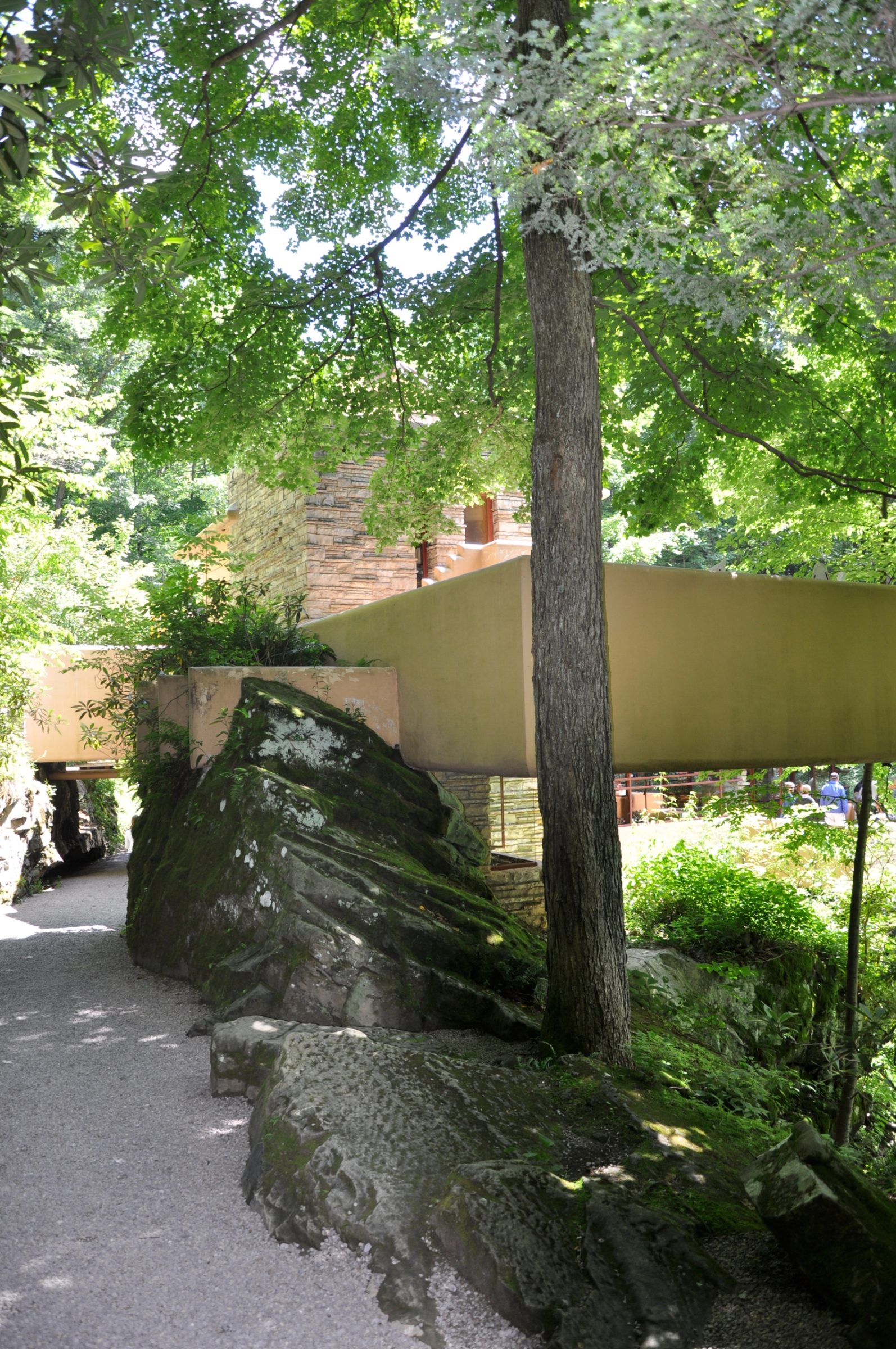 Rotsen maken een deel uit van het ontwerp van Falling Water House.
