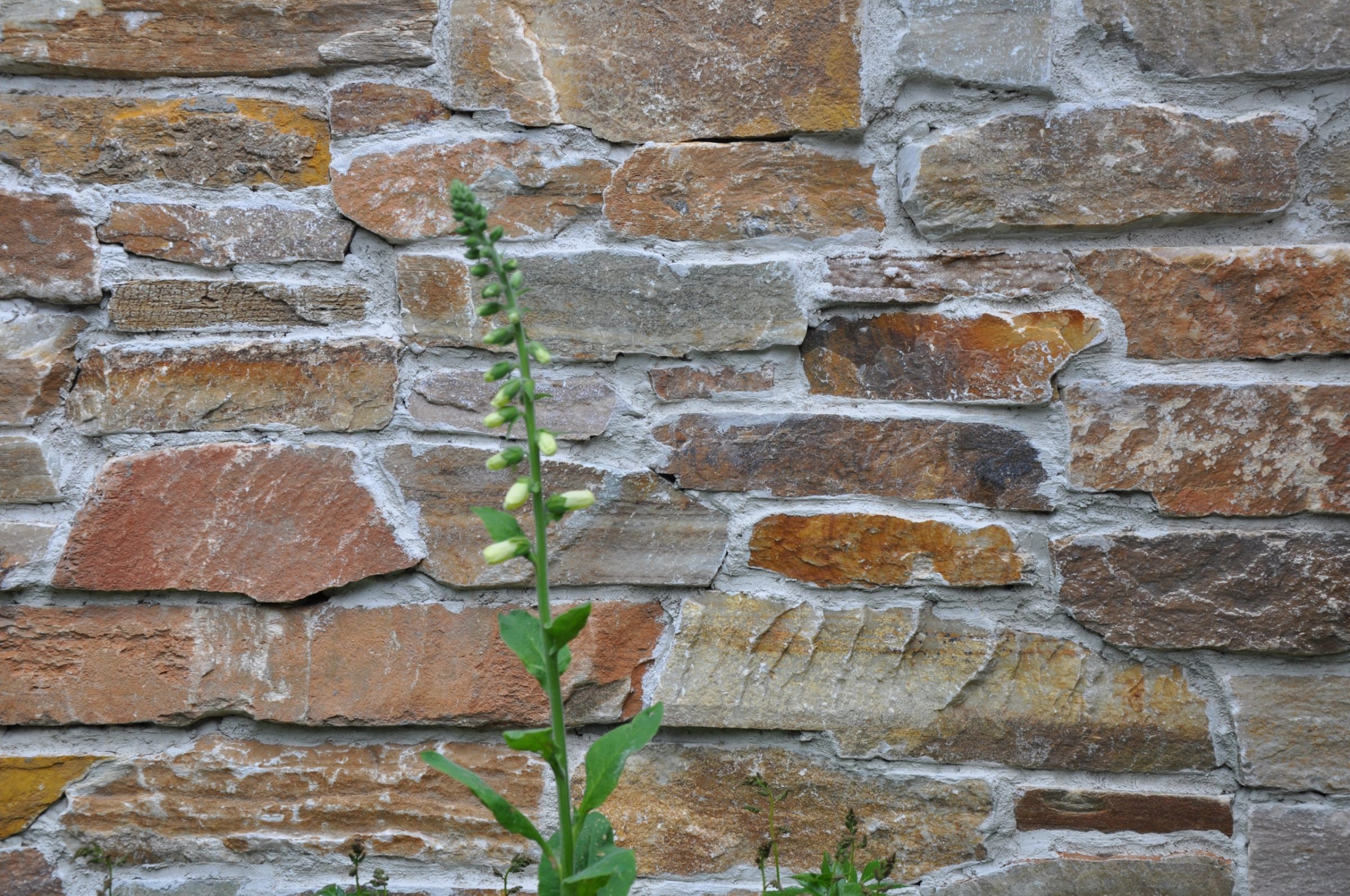 Mediterrane look veranda - overkapping. Steenstrips Rocks op de wand en Flagstones bij het terras en als Stapsteen.