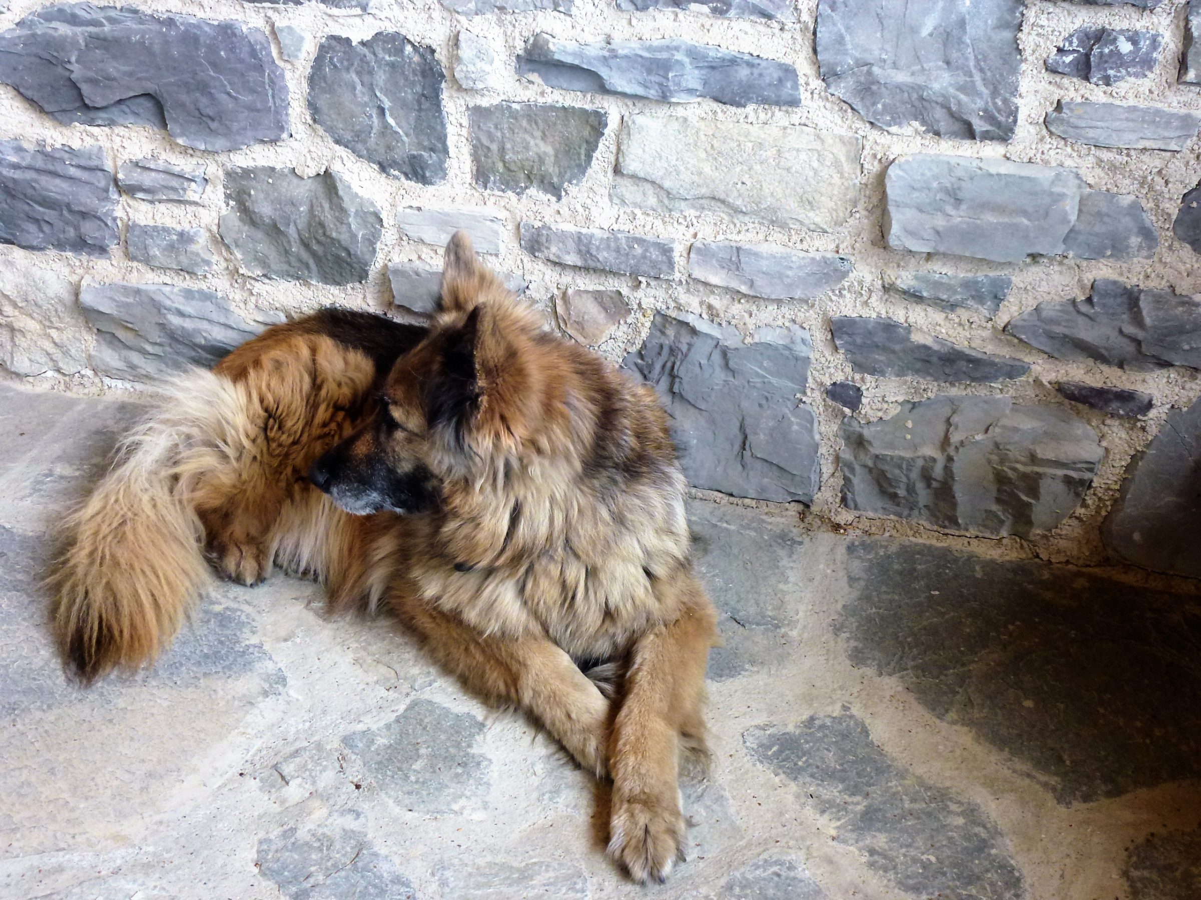 Steenstrips en Flagstones.