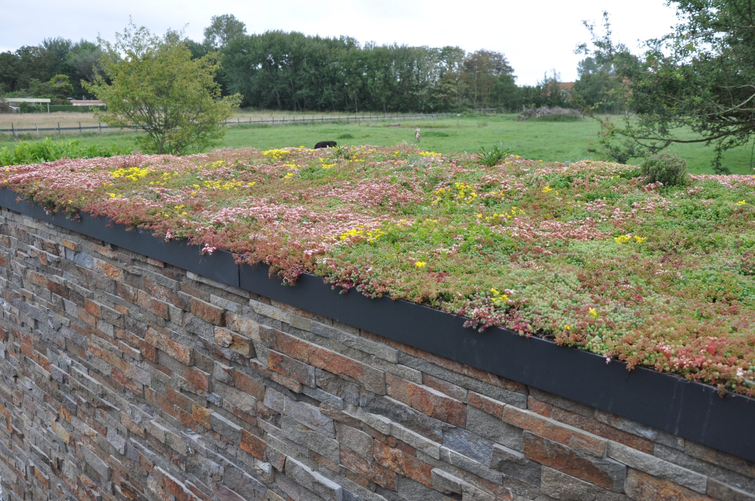 Tuinmuur bekleed met Natuursteenstrips Rustiek kwartsiet.