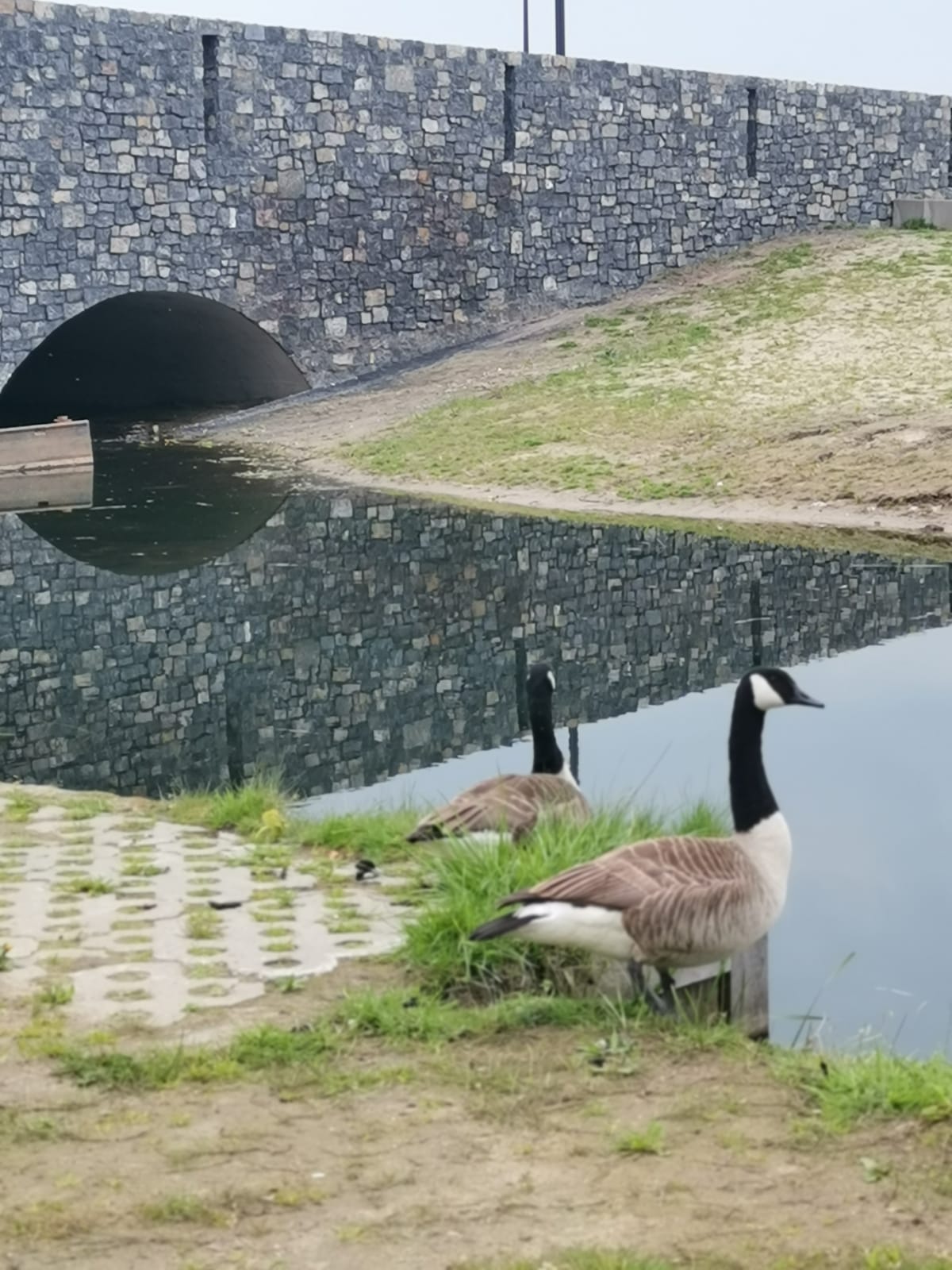 Zwarte Steenstrips bij het water in Deventer