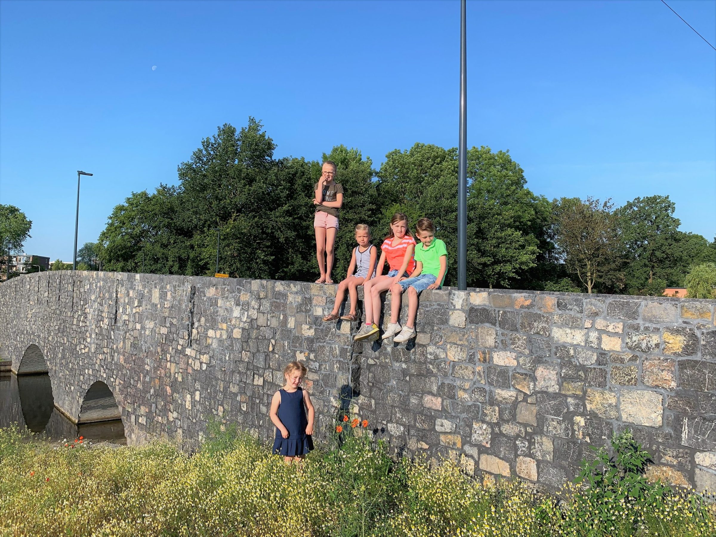Natuurstenen Rocks bij de beek
