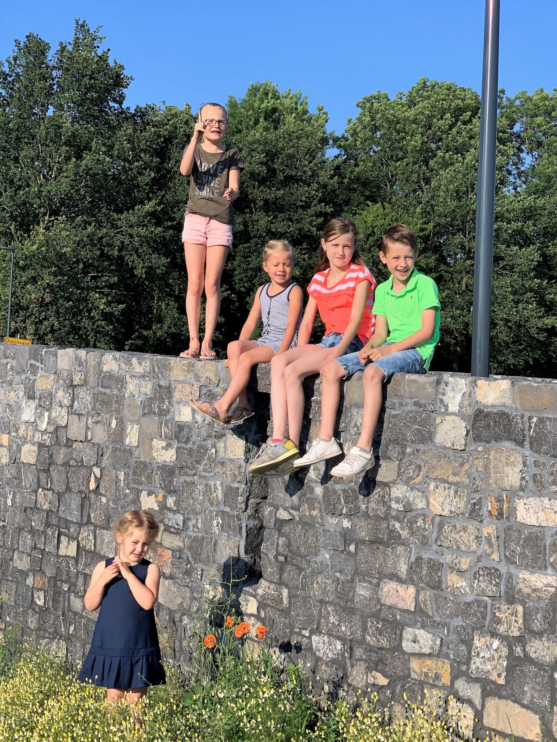 Natuurstenen Rocks met een grijze voeg