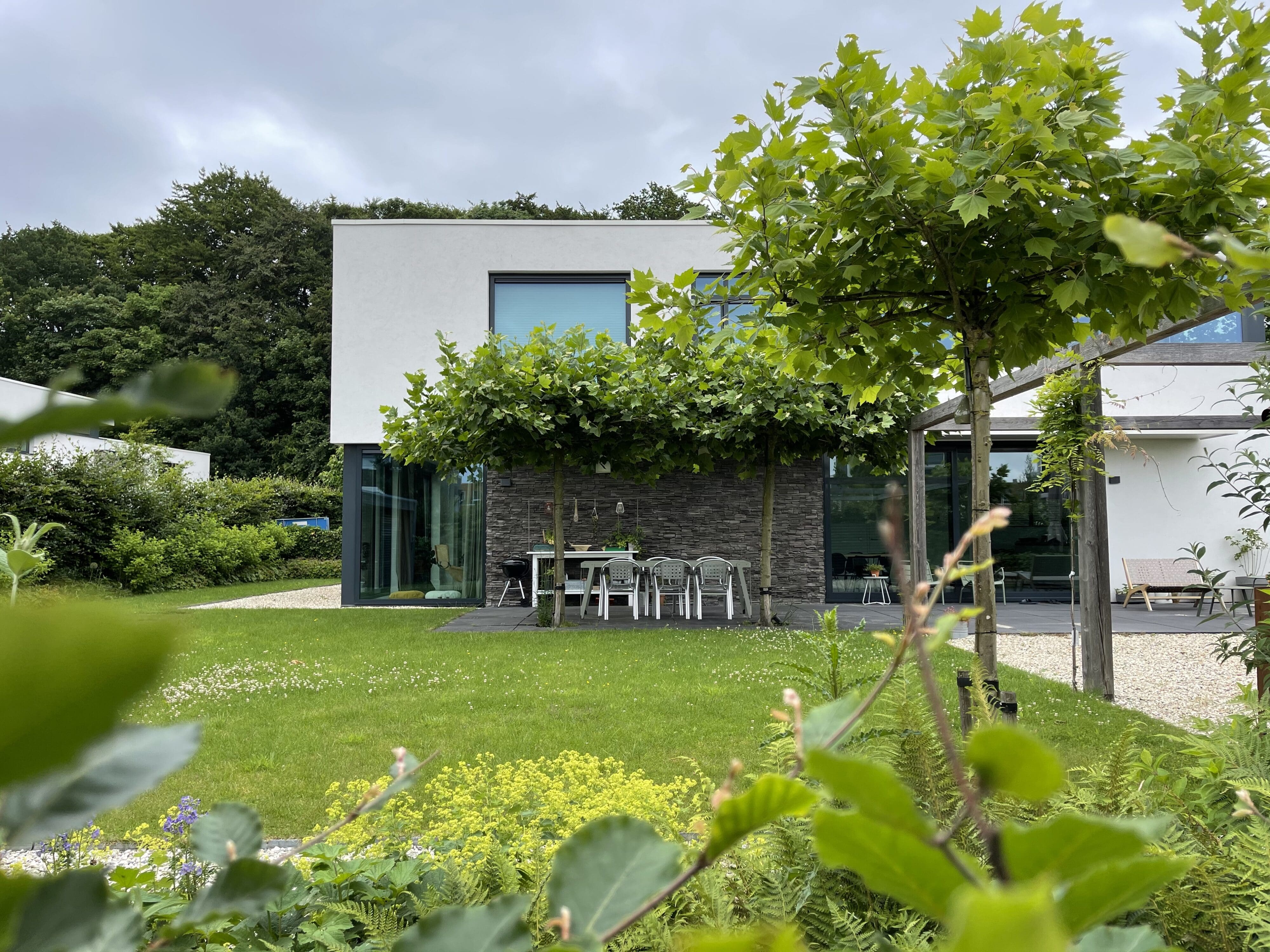 Prachtige tuin met Steenstrips